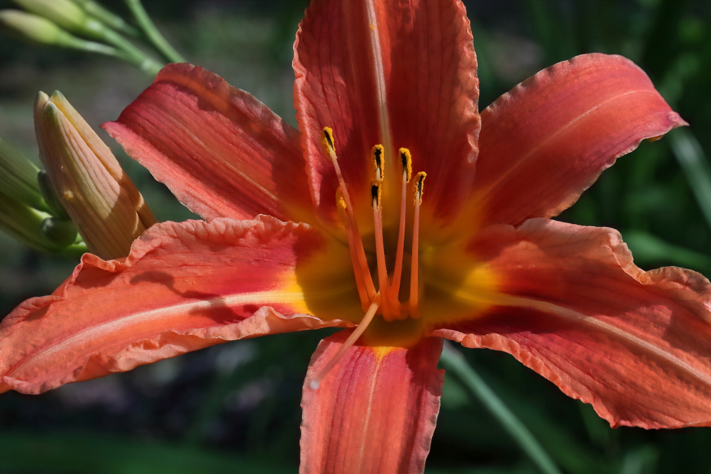 2011 06 13 IMG 33107e